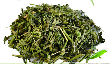 ����͸�ǲ�