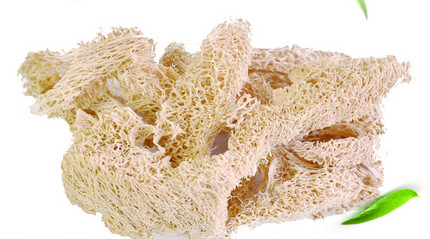 �z�Ͻj(lu��)