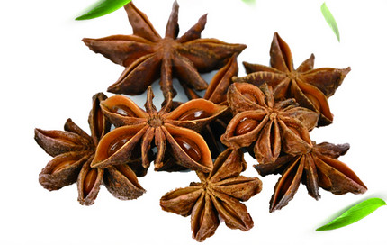 �˽�����