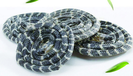 ���X�׻���